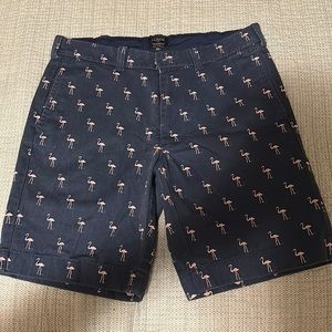J Crew Gramercy Shorts